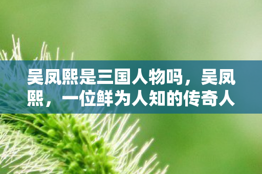 吴凤熙是三国人物吗，吴凤熙，一位鲜为人知的传奇人物