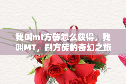 我叫mt方砖怎么获得图片