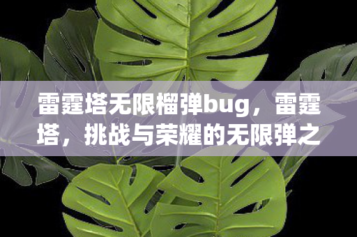 挑战与荣耀的无限弹之旅图片