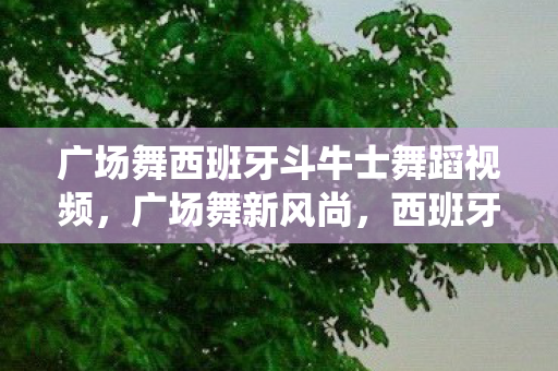 广场舞西班牙斗牛士舞蹈视频图片