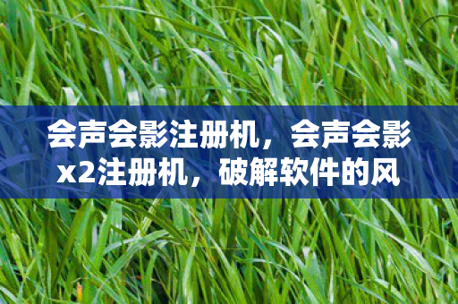 破解软件的风险与合法替代方案图片