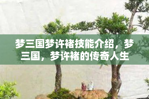 梦三国梦许褚技能介绍，梦三国，梦许褚的传奇人生