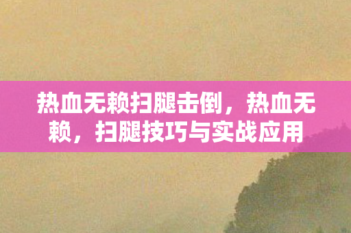 扫腿技巧与实战应用图片