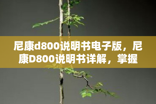 尼康d800说明书电子版图片
