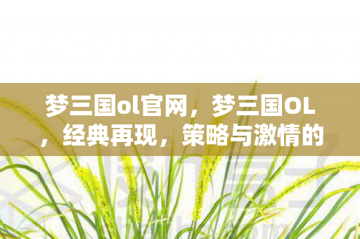 梦三国ol官网，梦三国OL，经典再现，策略与激情的完美结合