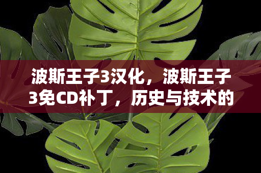 波斯王子3免CD补丁图片