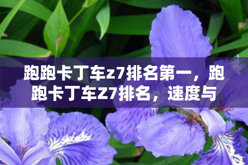 跑跑卡丁车z7排名第一图片