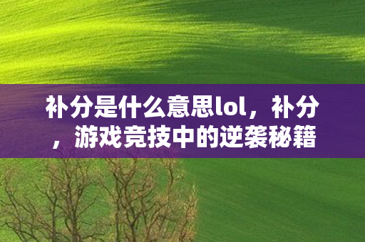补分是什么意思lol图片