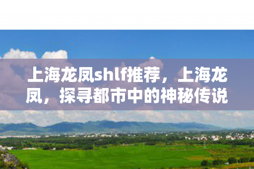 上海龙凤shlf推荐图片
