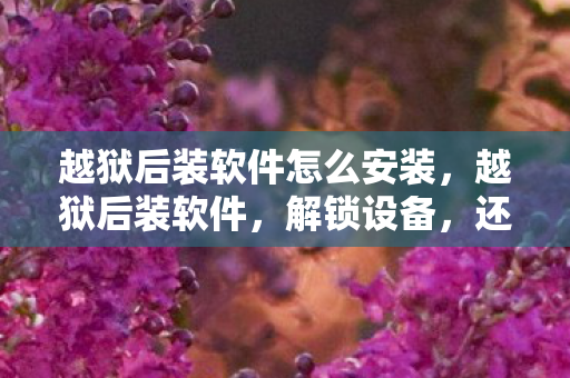 越狱后装软件怎么安装图片