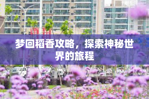 梦回稻香攻略,探索神秘世界的旅程 梦回稻香攻略,探索神秘世界的旅程