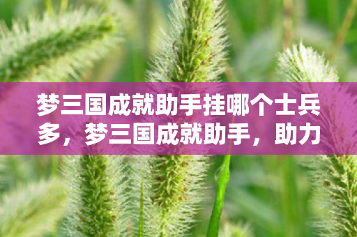 梦三国成就助手挂哪个士兵多，梦三国成就助手，助力玩家登顶，成就无双传奇