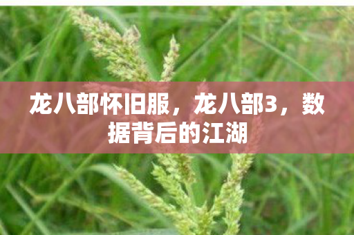 数据背后的江湖图片