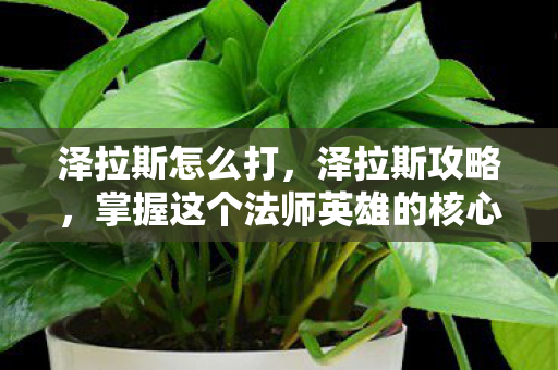 掌握这个法师英雄的核心技巧与策略图片