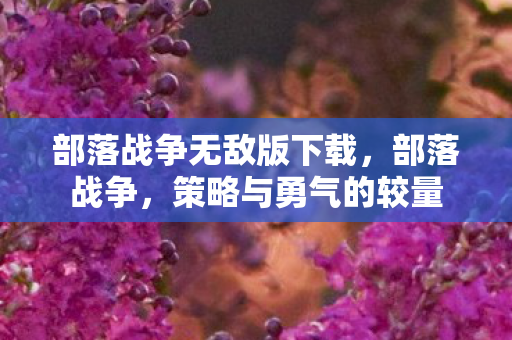 部落战争无敌版下载图片