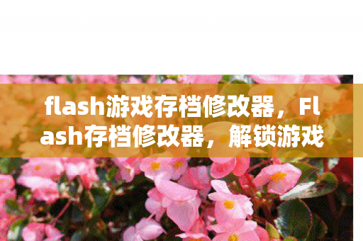 flash游戏存档修改器图片