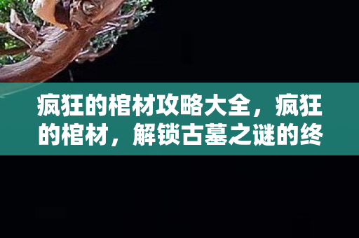 解锁古墓之谜的终极攻略图片
