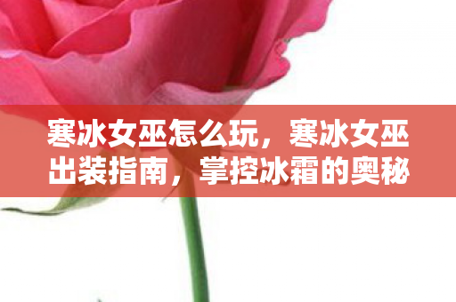 寒冰女巫出装指南图片