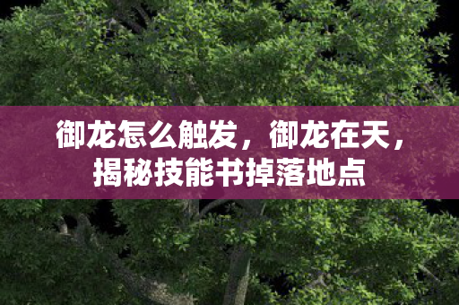 揭秘技能书掉落地点图片