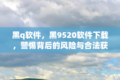 警惕背后的风险与合法获取途径图片