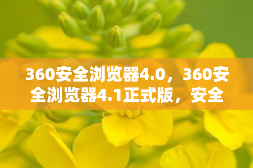 360安全浏览器4图片