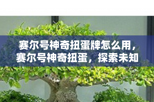 赛尔号神奇扭蛋牌怎么用图片