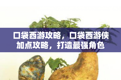 口袋西游侠加点攻略图片