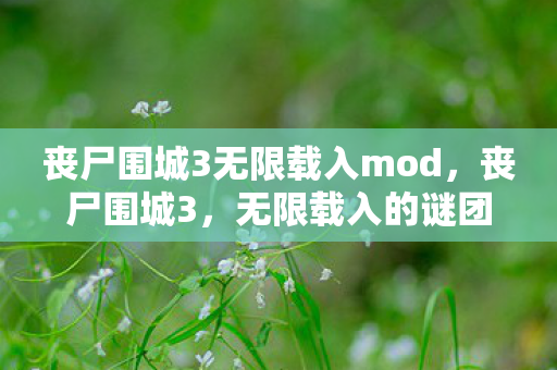 丧尸围城3无限载入mod图片