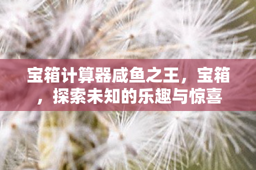 探索未知的乐趣与惊喜图片