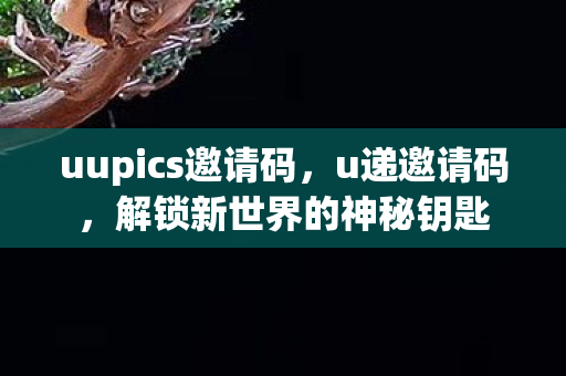 解锁新世界的神秘钥匙图片