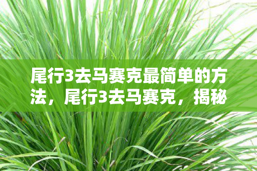 尾行3去马赛克最简单的方法图片