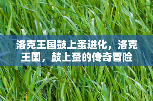 洛克王国鼓上蚤进化图片