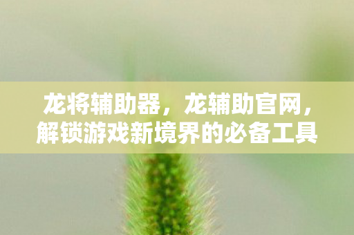 解锁游戏新境界的必备工具图片