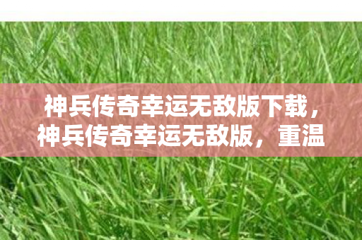 神兵传奇幸运无敌版下载图片