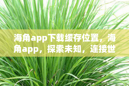 海角app下载缓存位置图片