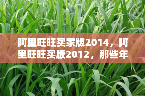 阿里旺旺买家版2014图片