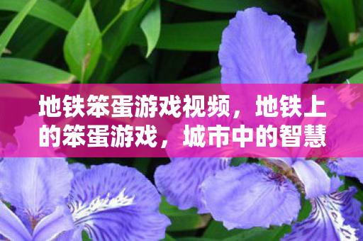 城市中的智慧与趣味图片