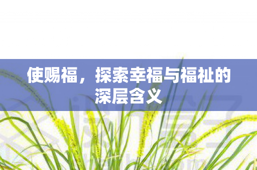 探索幸福与福祉的深层含义图片