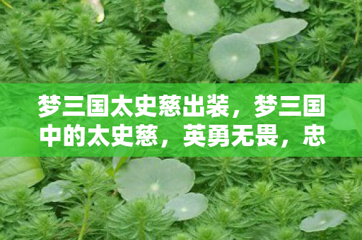 梦三国太史慈出装，梦三国中的太史慈，英勇无畏，忠诚不渝