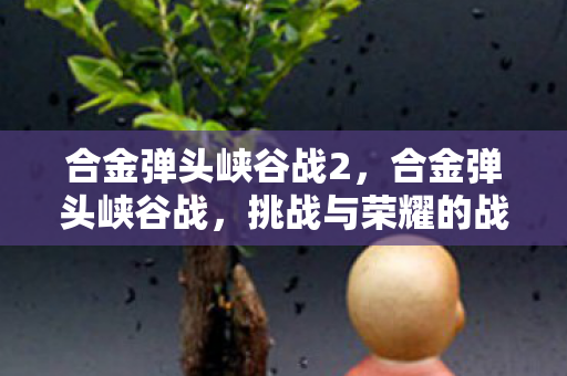 合金弹头峡谷战2图片