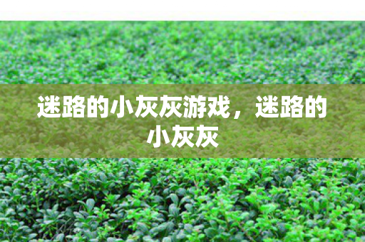 迷路的小灰灰游戏图片