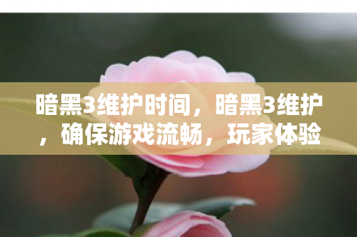 暗黑3维护时间图片