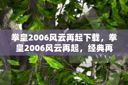 拳皇2006风云再起下载图片