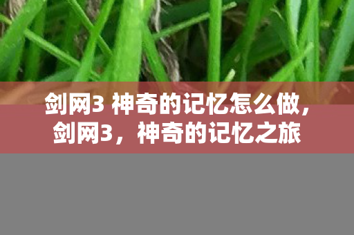 剑网3 神奇的记忆怎么做，剑网3，神奇的记忆之旅