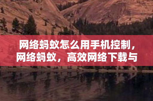 网络蚂蚁怎么用手机控制，网络蚂蚁，高效网络下载与管理的利器