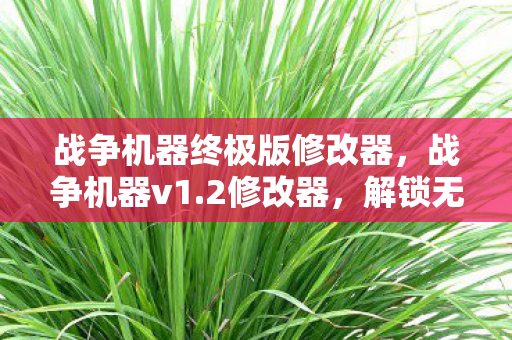 解锁无限可能的战斗利器图片