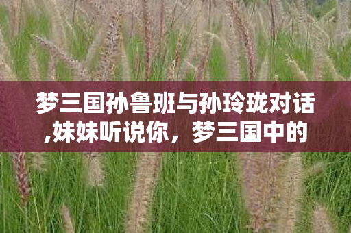 梦三国孙鲁班与孙玲珑对话,妹妹听说你，梦三国中的孙鲁班—策略智谋与英勇善战的无双射手