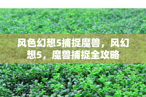 风色幻想5捕捉魔兽图片