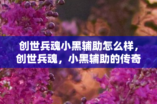 创世兵魂小黑辅助怎么样图片