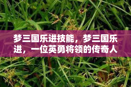 梦三国乐进技能，梦三国乐进，一位英勇将领的传奇人生